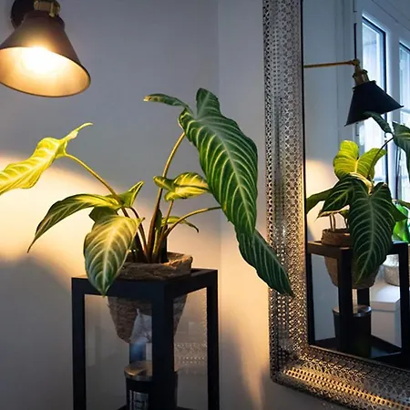 Apartment Nessmann *